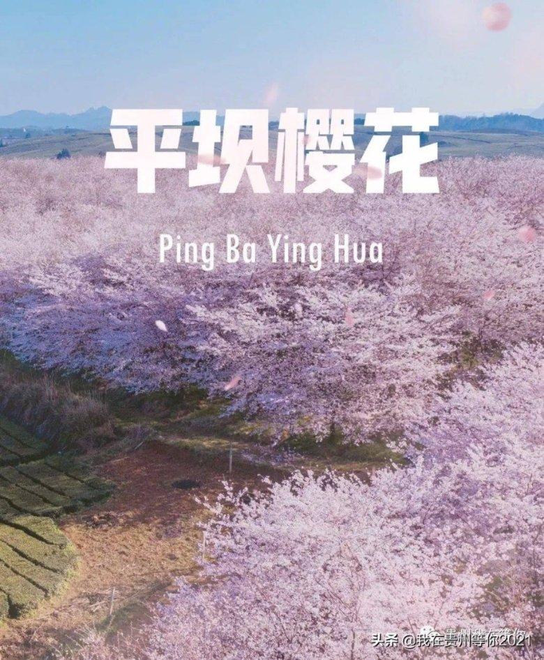 G系奔驰拼图